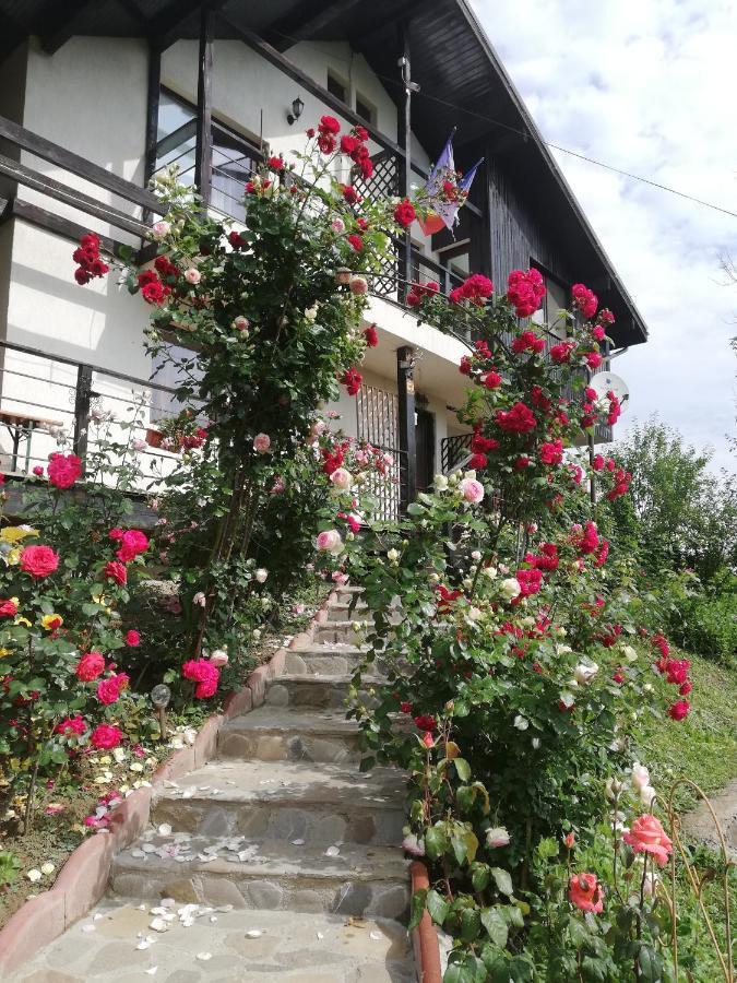 Casuta Cu Trandafiri Hotel Slănic Buitenkant foto