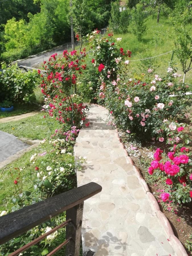 Casuta Cu Trandafiri Hotel Slănic Buitenkant foto