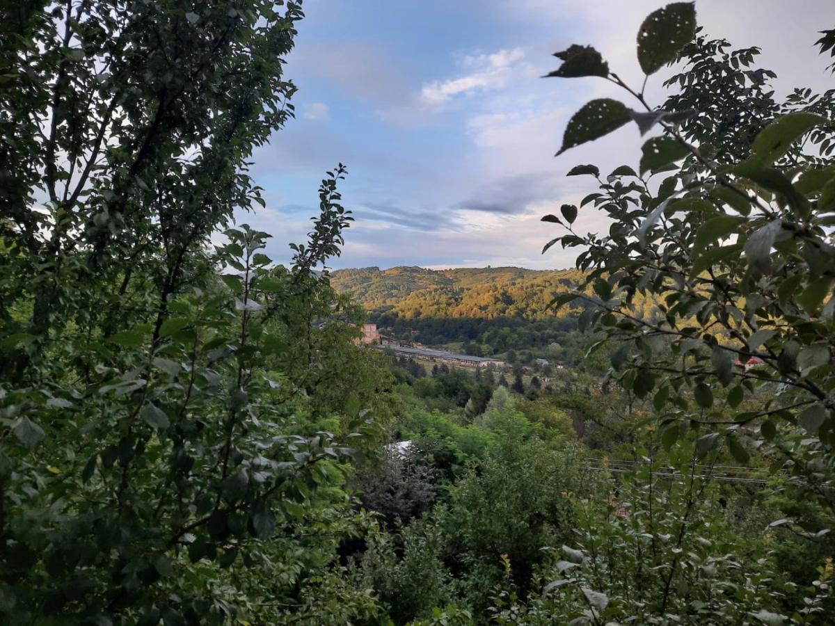 Casuta Cu Trandafiri Hotel Slănic Buitenkant foto