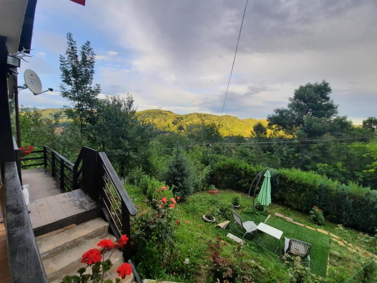 Casuta Cu Trandafiri Hotel Slănic Buitenkant foto
