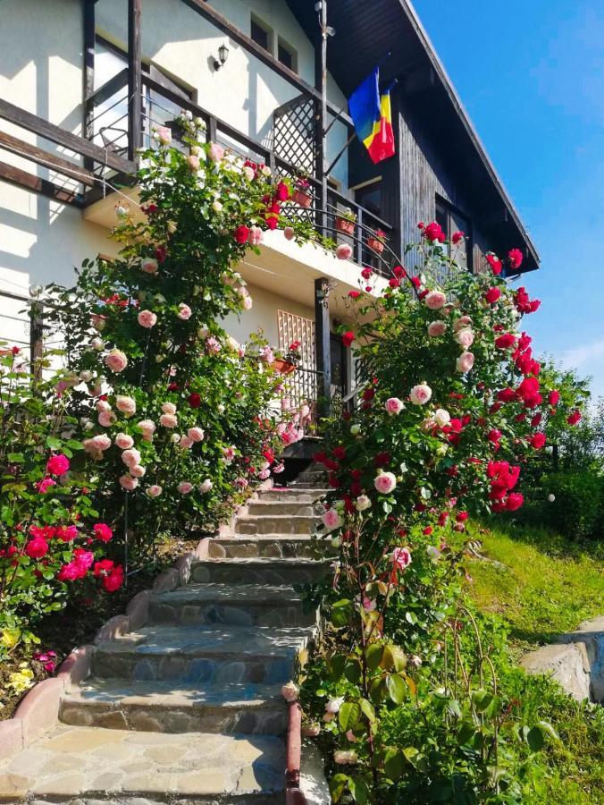 Casuta Cu Trandafiri Hotel Slănic Buitenkant foto