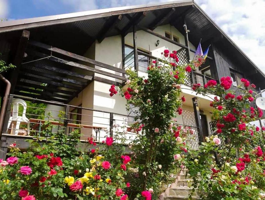 Casuta Cu Trandafiri Hotel Slănic Buitenkant foto