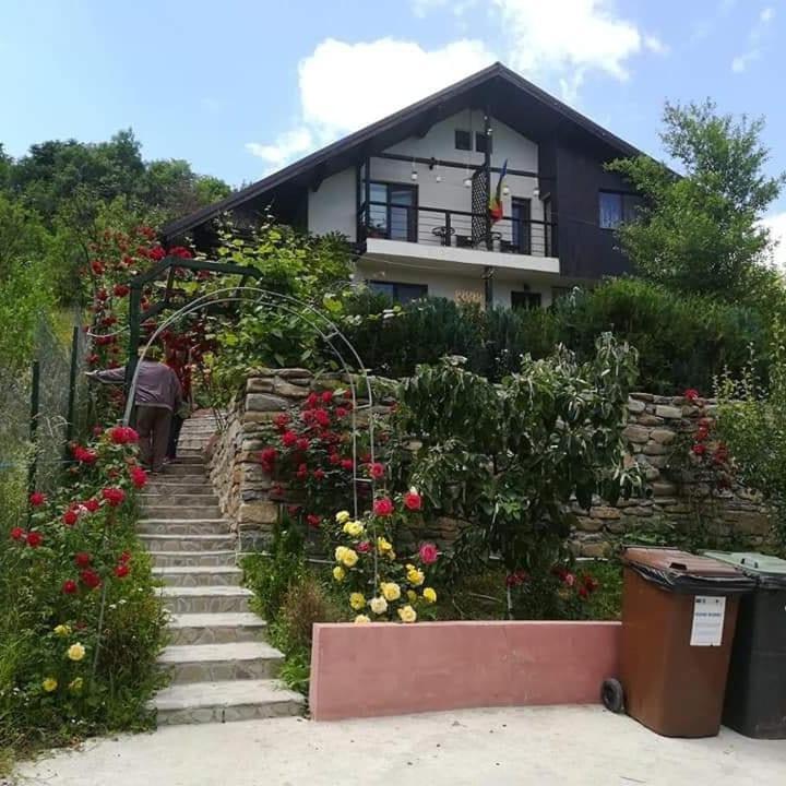 Casuta Cu Trandafiri Hotel Slănic Buitenkant foto