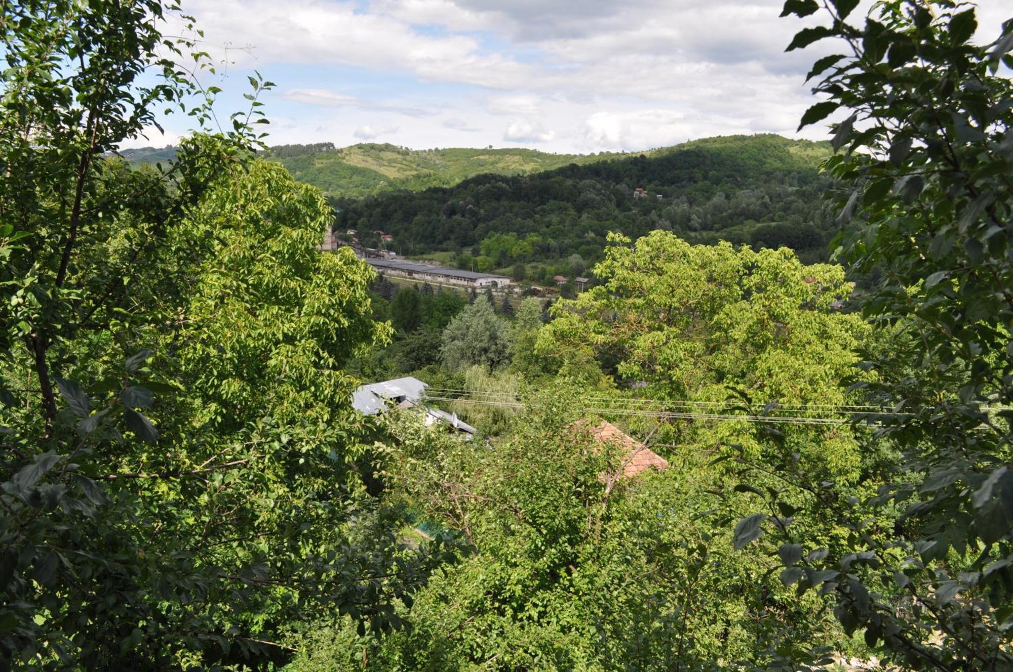 Casuta Cu Trandafiri Hotel Slănic Buitenkant foto